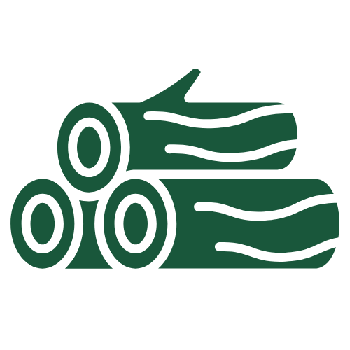 TEST Médaille Athlétisme