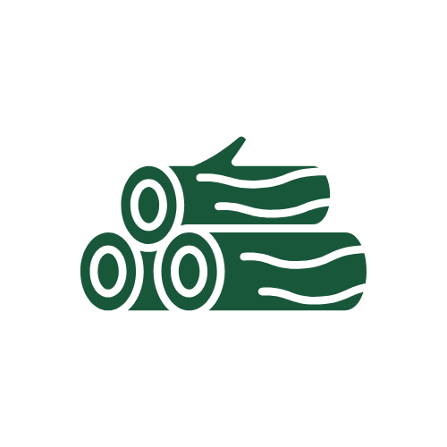 TEST Médaille Athlétisme